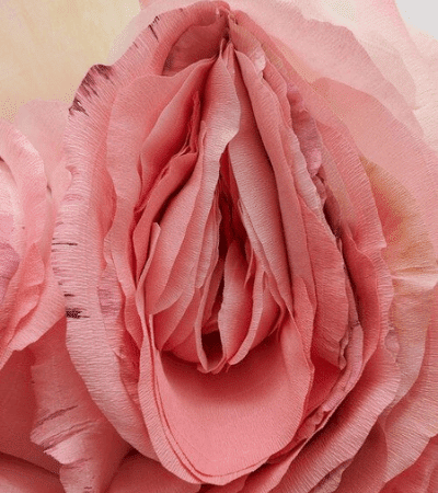 vaginal rejuvenation